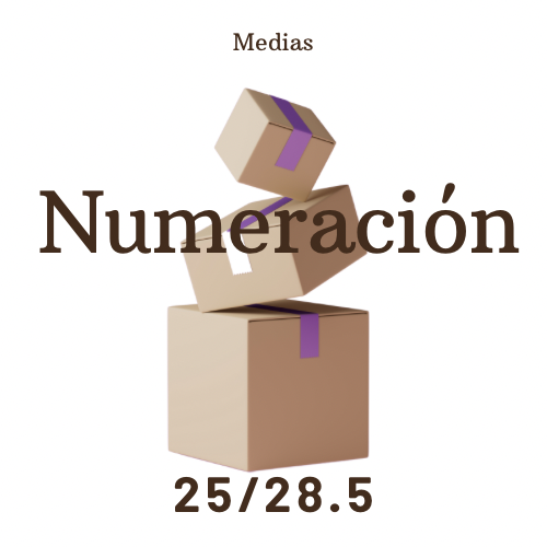 NUMERACIÓN 25/28.5